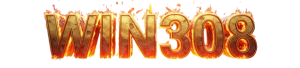 https://win308.asia/